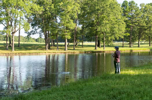 NC 330 Acre Legacy Equestrian Estate 
