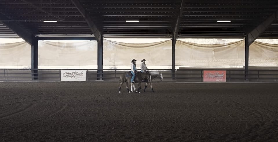 The Story Behind Storybook Stables