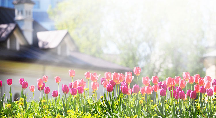 4 Ways To Make an Offer That Stands Out This Spring