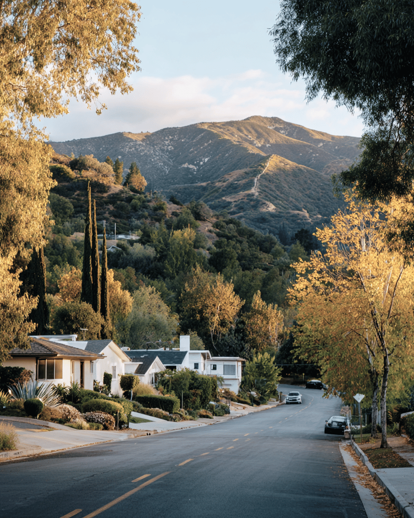 Home Search