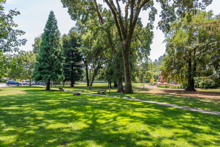 Sunny park with a broad lawn, mature trees, and a paved path.