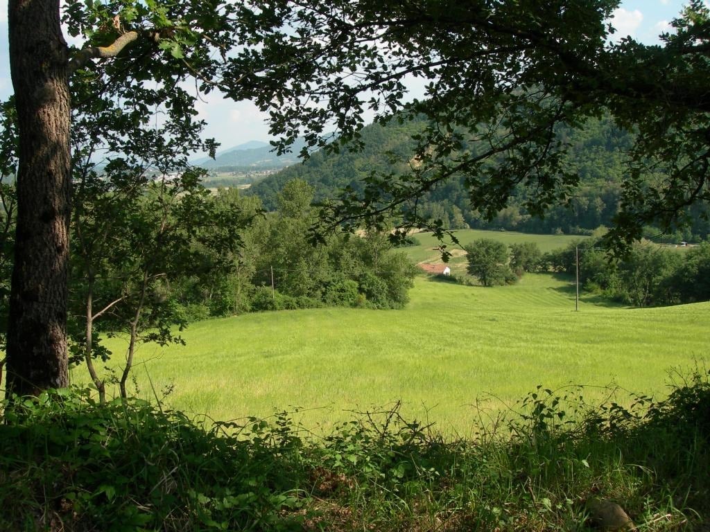 Stone Farmhouse