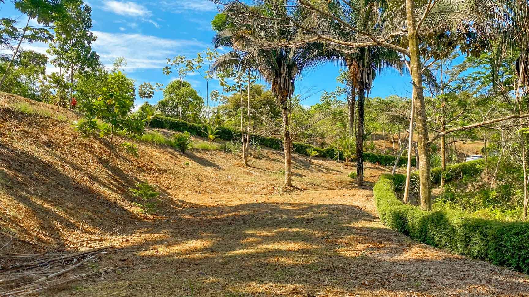 32-Acre Self-Sustainable Off-Grid Farm Near Ojochal with House, Solar Power & River