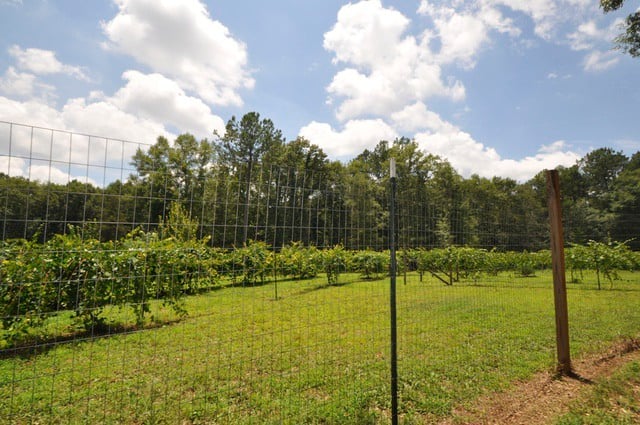 SOLD U SO!! 1101 Watson Springs Road, Watkinsville, Georgia