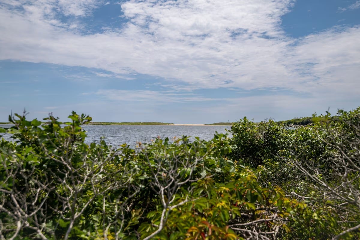 New Waterfront Estate With Pool + Guest House