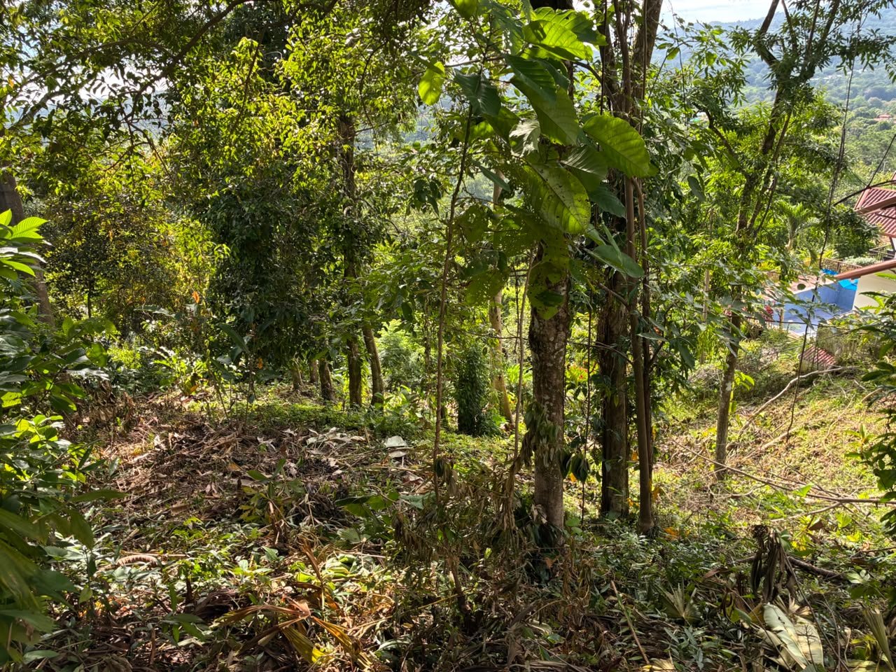 Affordable Ocean View Lot in Ojochal Phase9