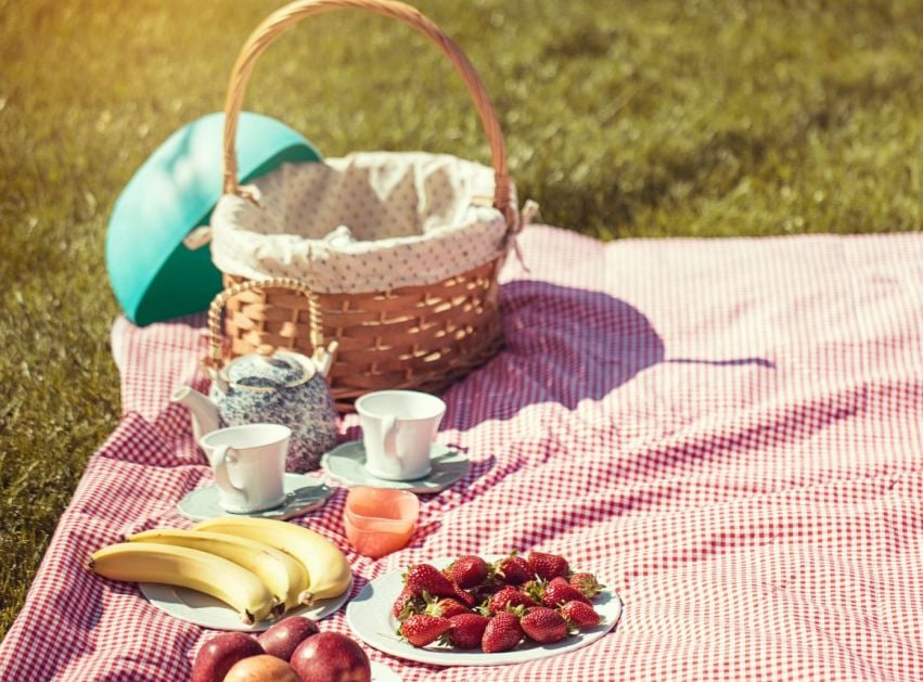 Picnic blanket with a wicker basket, tea cups, sunhat, and fresh fruit on the grass.