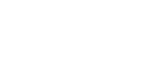 Disclaimer logo