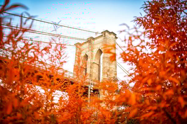 The Market Report: October 2025