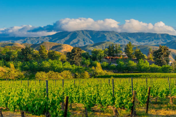 Temecula Valley