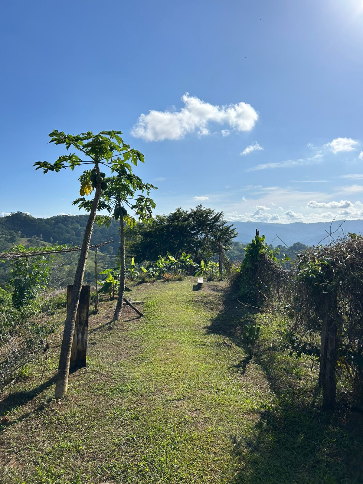 67 acres development (15 titled lots) with breathtaking views in Sierpe