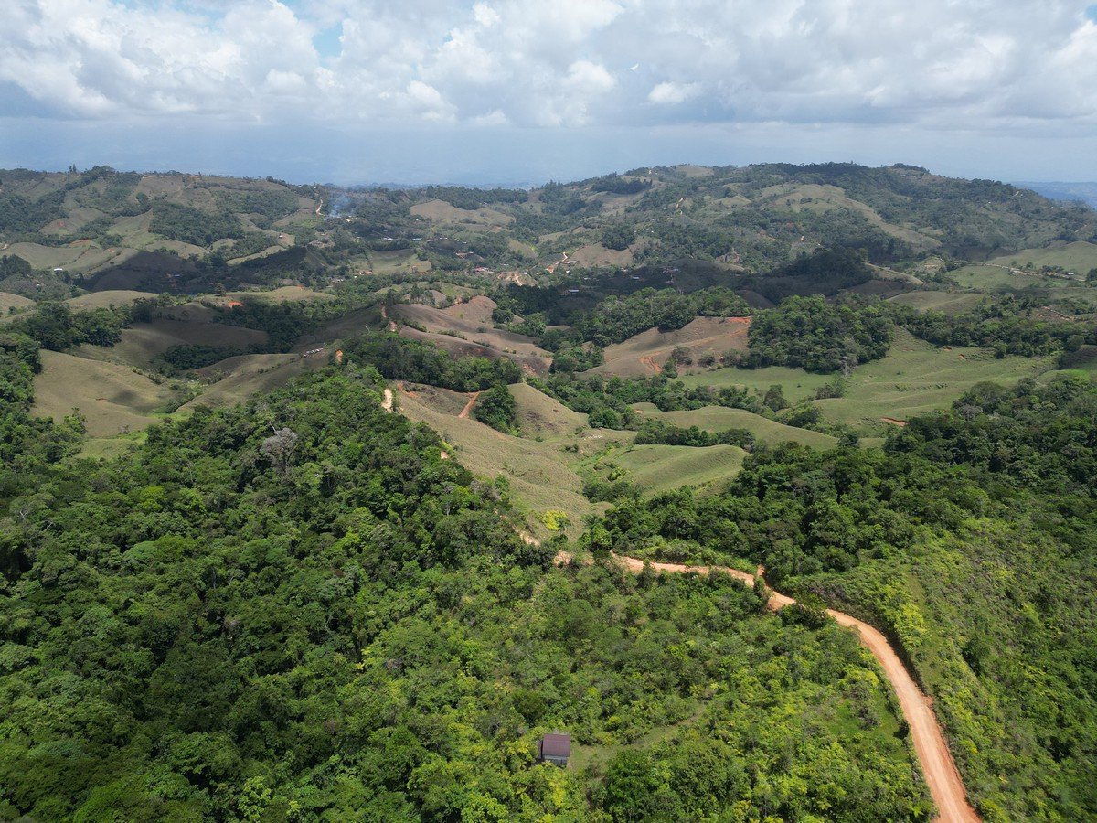 32 ACRES – Mountain Land With Spring, Jungle & Usable Space!!!!