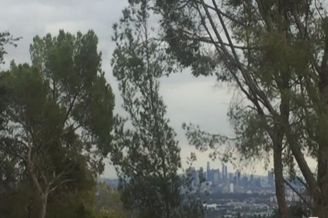 Horizon Estate