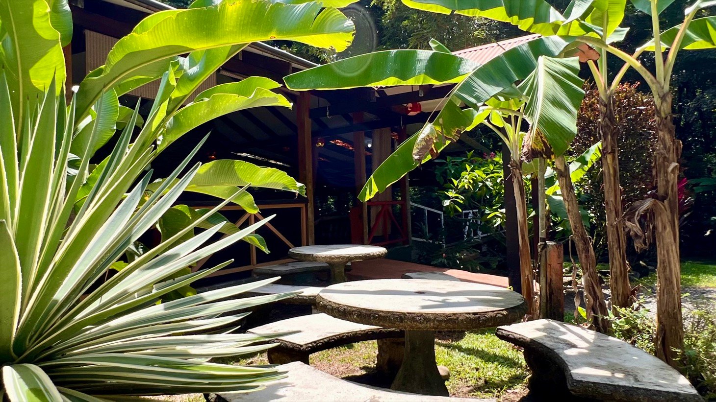Tropical River Property with Cabinas, Pool & Event Space in Ojochal