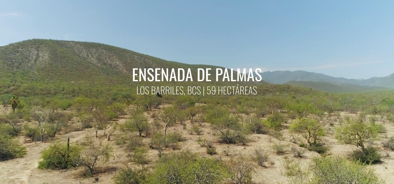 Developer Parcel for Sale in Los Barriles, East Cape, BCS, Mexico