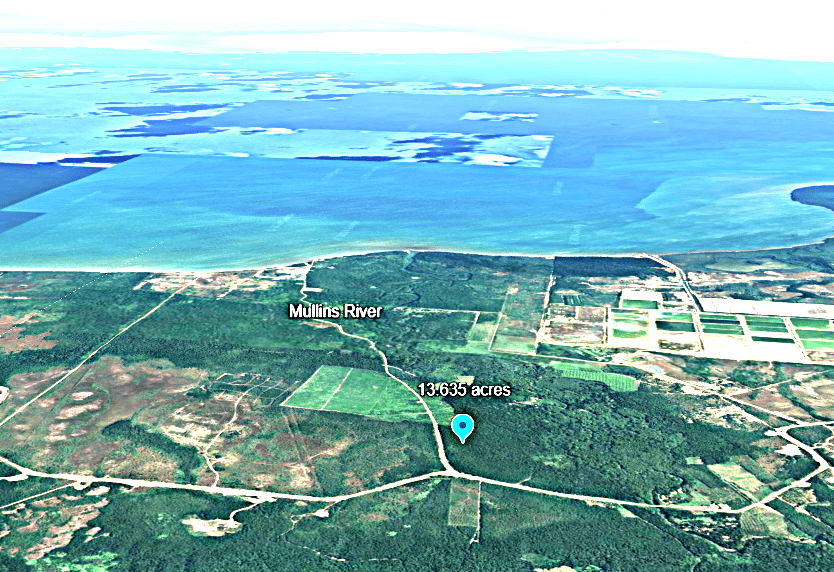 The Nelly Creek ecotourism gateway at Mullins River, coastal Belize.