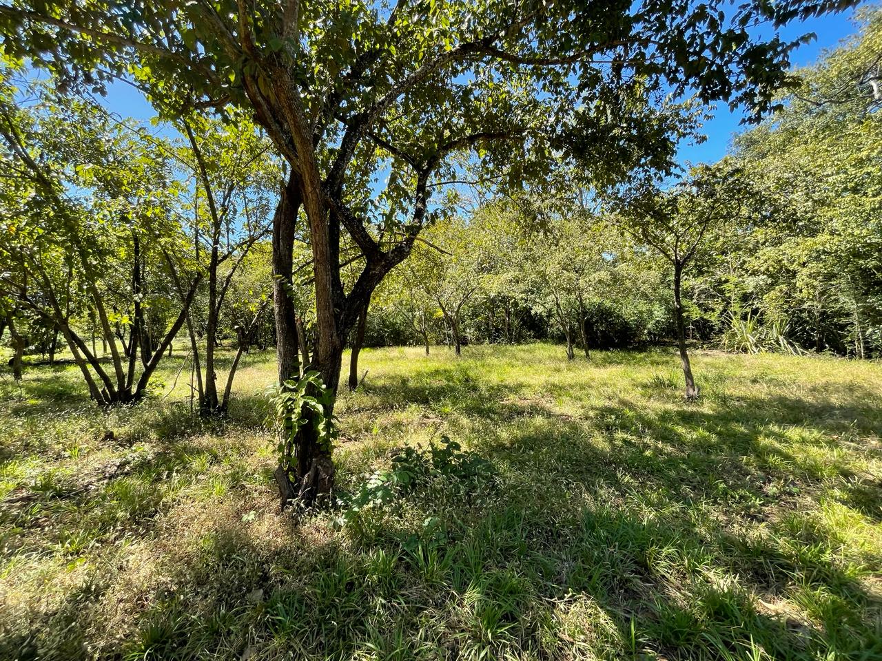 Beautiful Estate Lots Strategically Located in Villareal – Tamarindo – Guanacaste