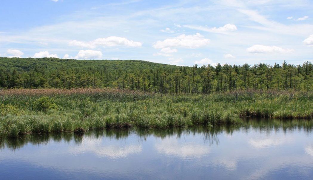 Calm water reflects marsh grasses and a wooded ridge beneath a blue sky.