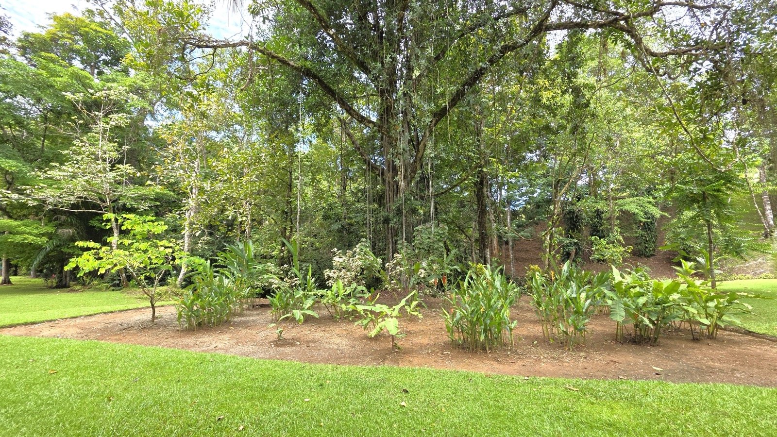 Refreshing Riverfront Retreat in Ojochal