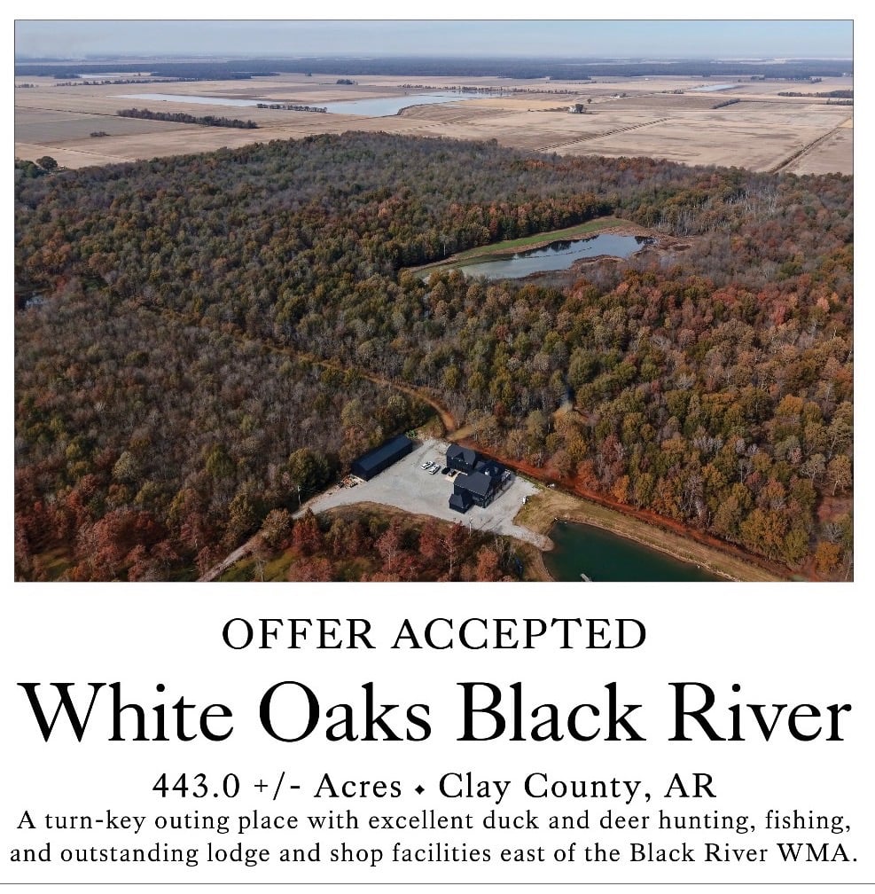White Oaks Black River