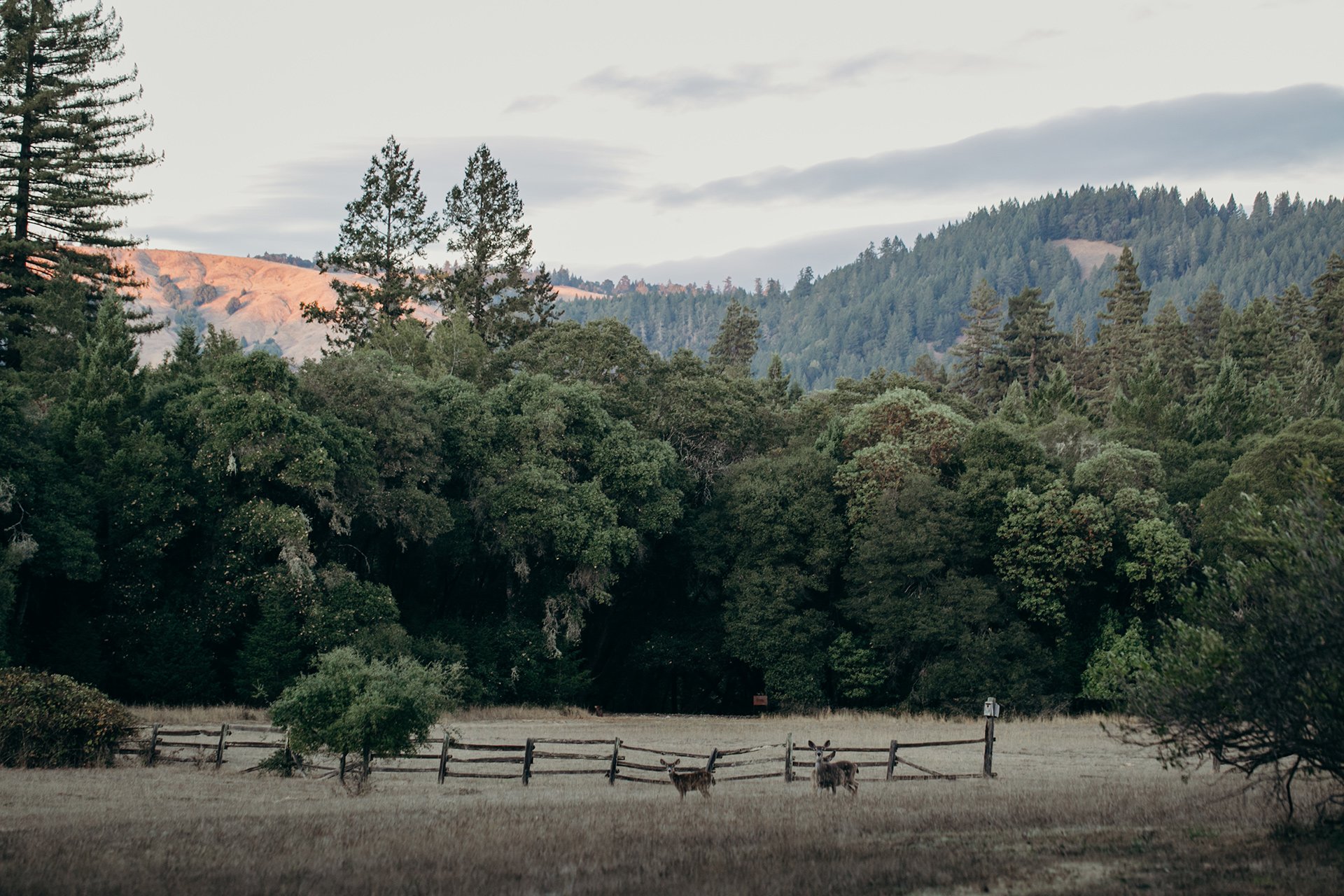 The Land