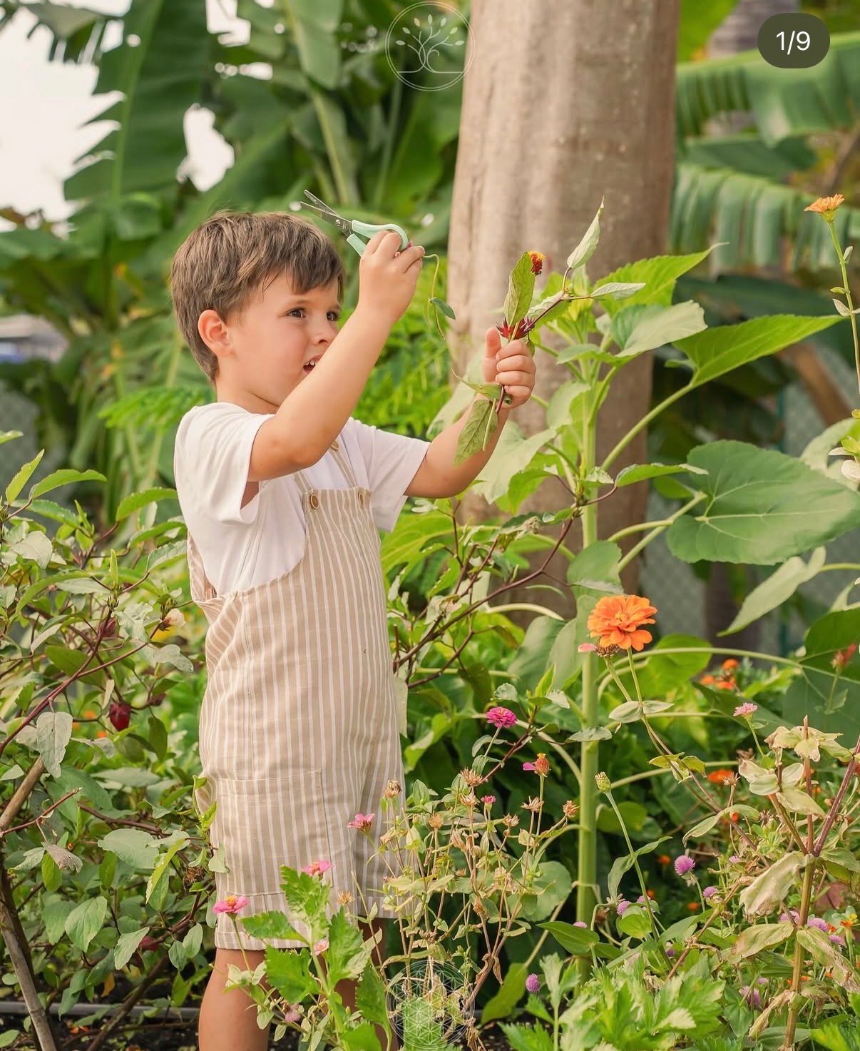 Discover Marinela: An Exceptional Holistic School in Barbados