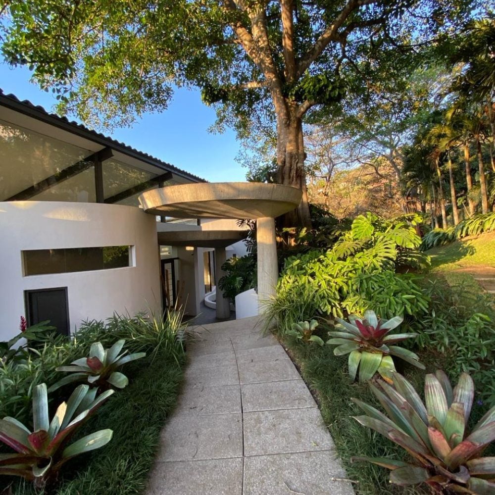 Villa Real Jungle House