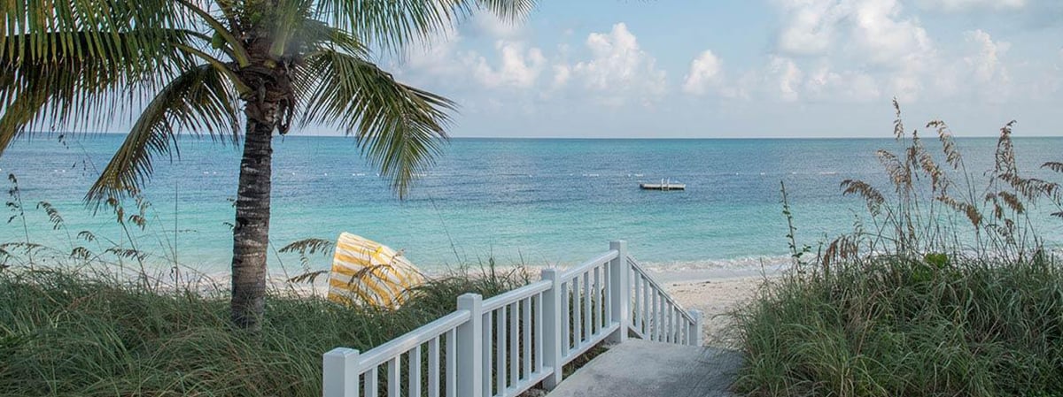 White-railed beach walkway leads through sea grass to turquoise water beneath a palm tree.