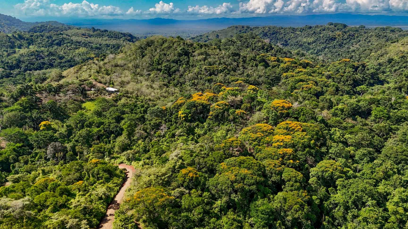 32-Acre Self-Sustainable Off-Grid Farm Near Ojochal with House, Solar Power & River