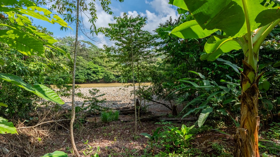 Riverfront Surf House in Playa Dominical Walk to the Beach