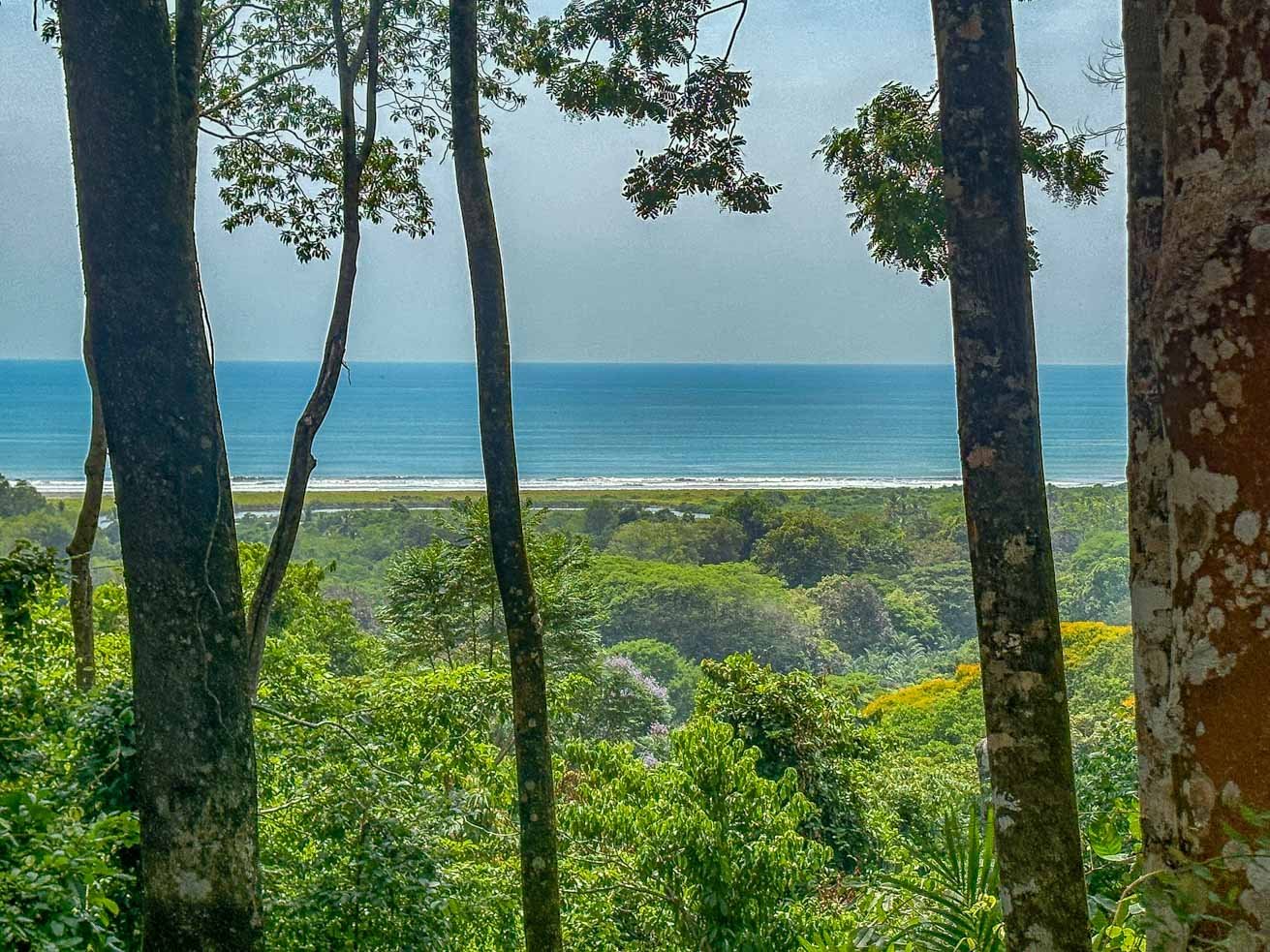 23-Acre Prime Highway Frontage Lot Near Ojochal & Ocean