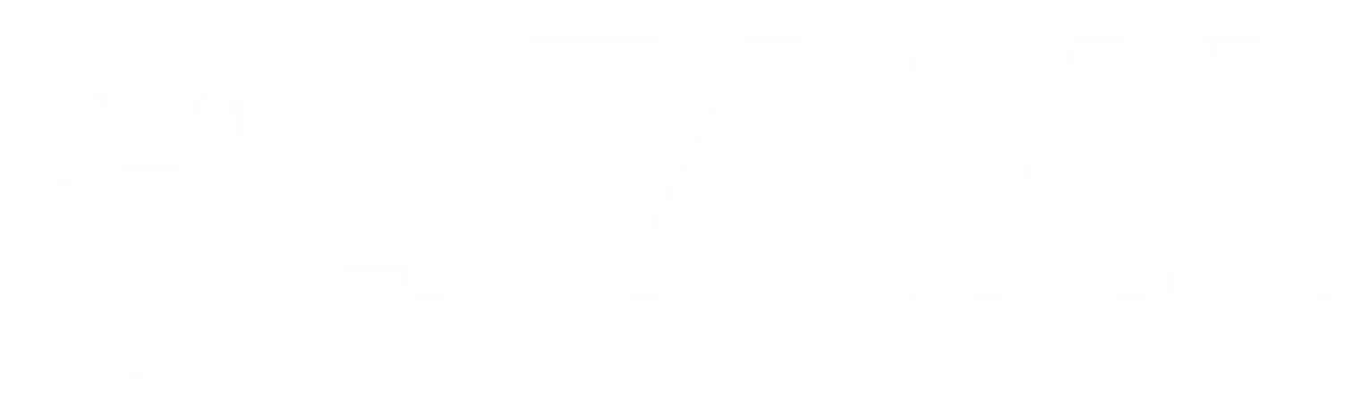 RE/MAX Empire Properties Logo