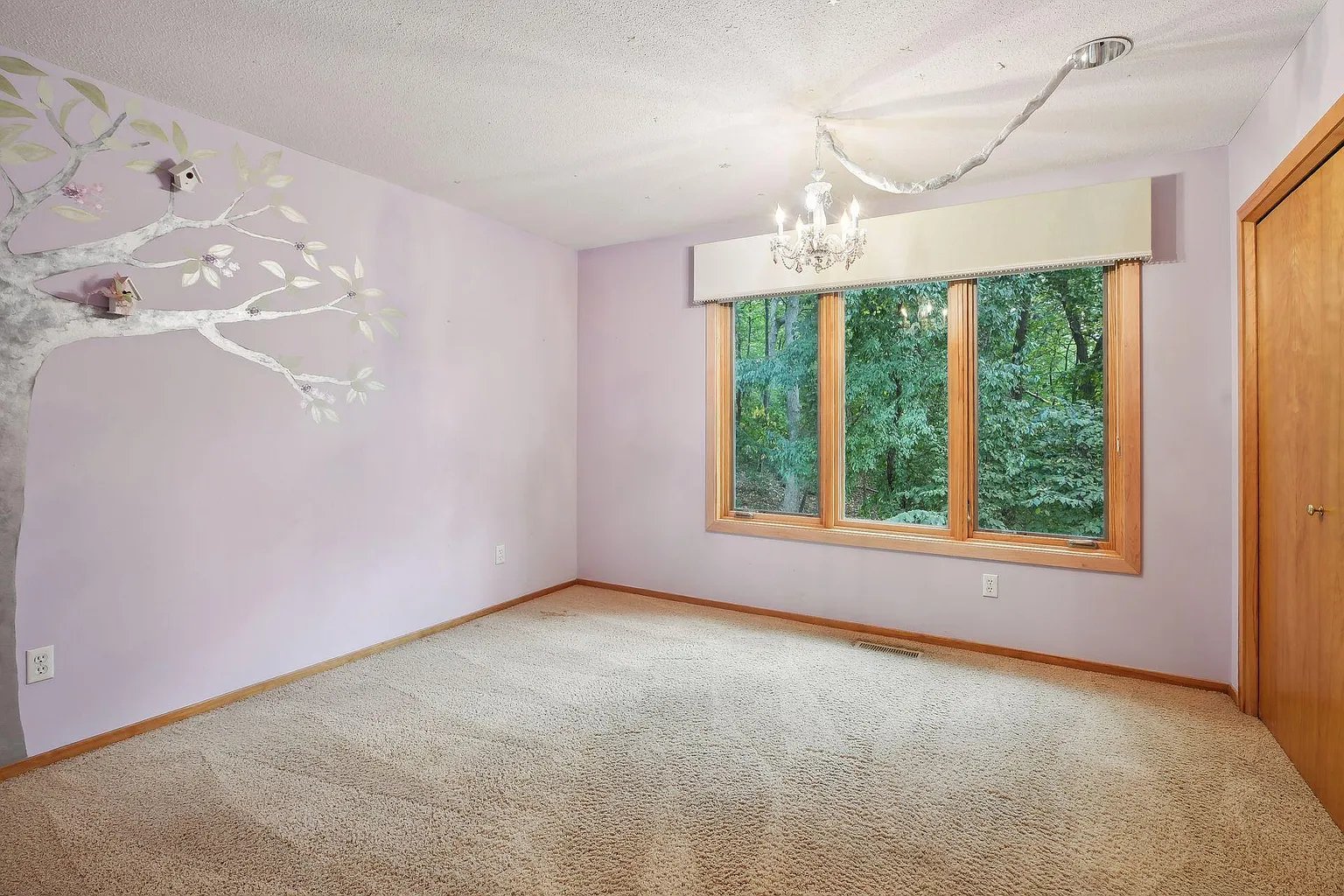 Custom 2-Story on Private Wooded Lot