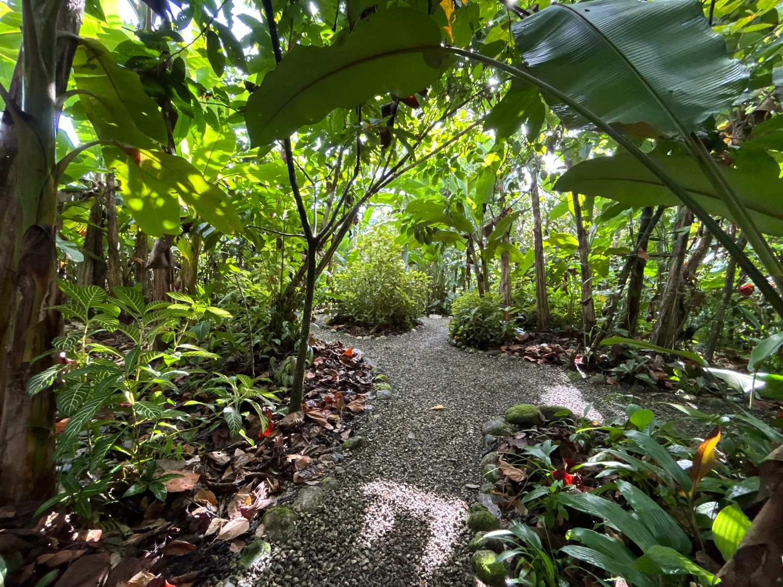 60 Acre Fully Sustainable and Impactful Conservation Initiative Near Golfito