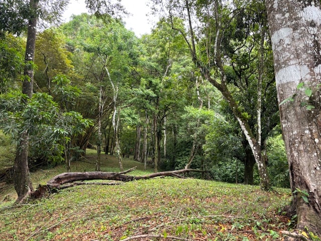 17.85 ACRES – Stunning Large Land With 2 Waterfalls Near Dominical Beach!!!