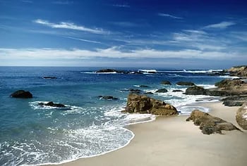 Some of the Best Memories are Made in Flip-Flops