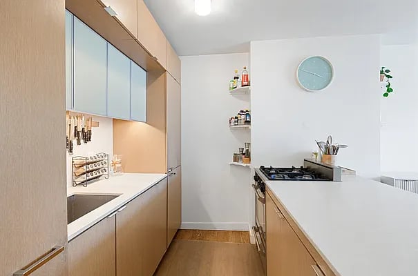 225 Rector Place #8L