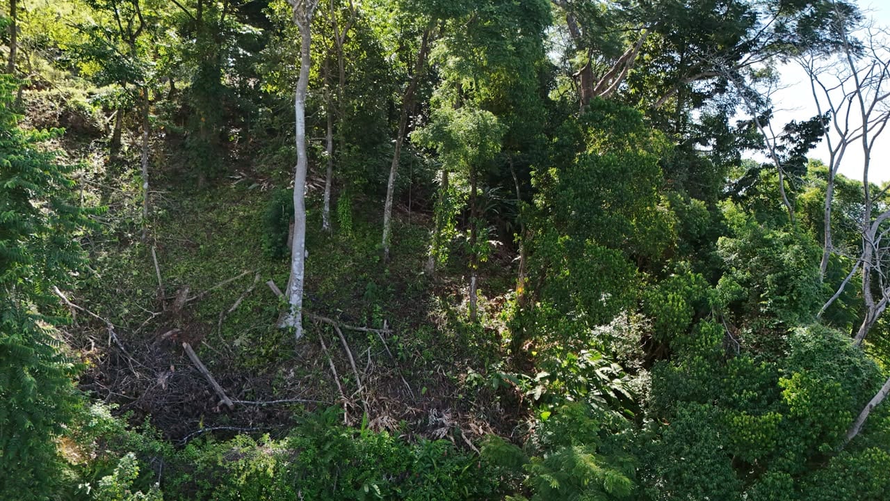 Affordable Ocean View Lot in Ojochal Phase9