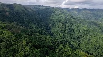 Bajo los Indios de Puntarenas, Costa Rica