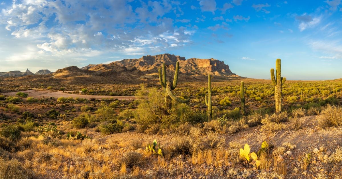 Top Communities to Consider When Moving to Southern Arizona: Part Two