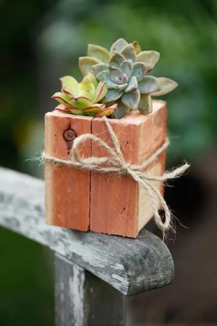 Bring Nature In!