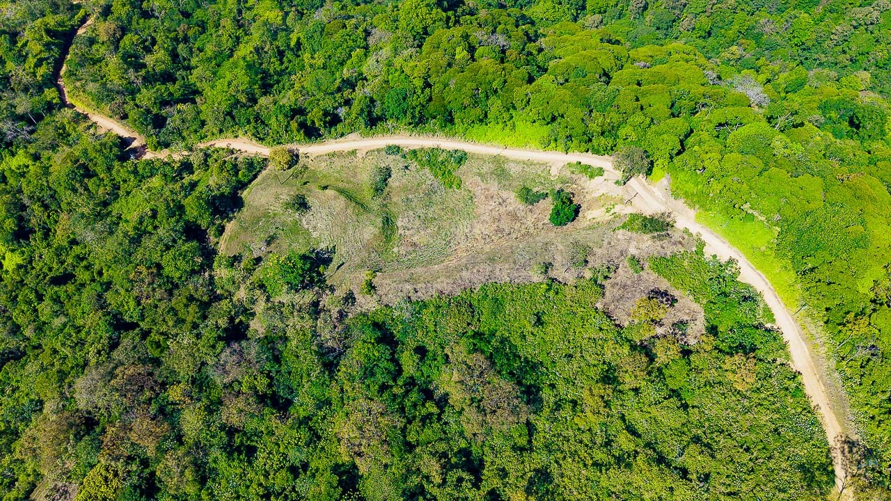 Whale Tail Views Luxury Waterfall Farm