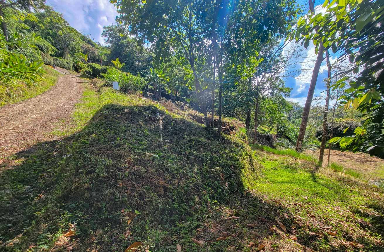 Large Uvita Lot With Whale’s Tail Ocean Views, Sunsets & Legal Water – Ready to Build!