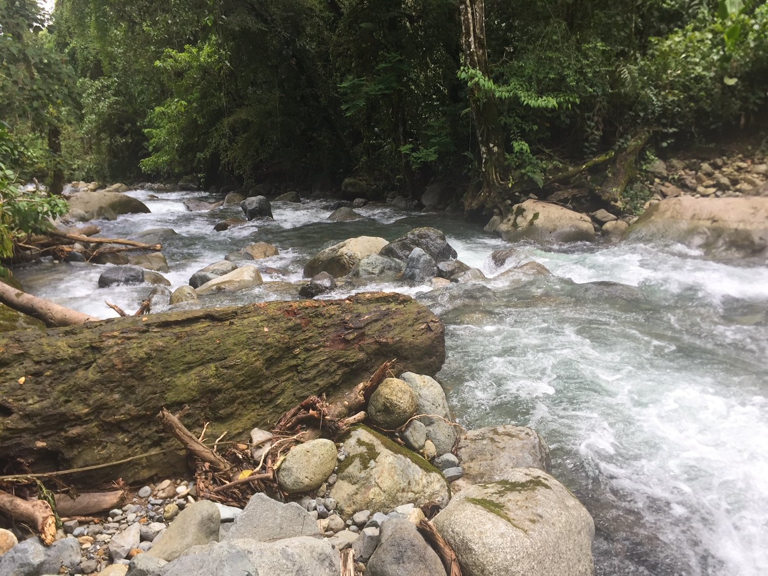 REDUCED! 77-Acre Mountain Paradise with Waterfalls & Epic Views in Santa Elena 