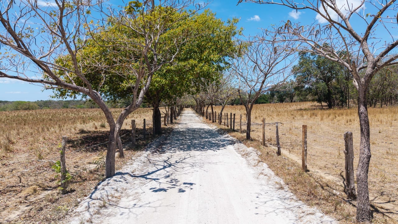 784 Acre Ranch in the Heart of Guanacaste