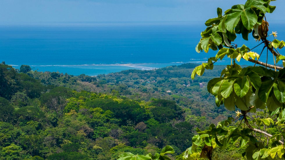 Whale Tail Views Luxury Waterfall Farm
