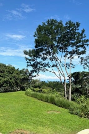 Build Amidst Untouched Jungle & Mountain Vistas | Ocean-View Estate with Fruit Orchards + Casita Design Your Vision in Tres Rios, Costa Rica