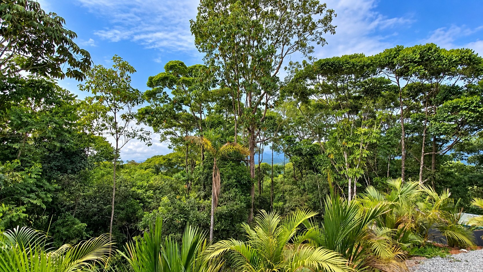 Tinamastes Mountain Escape | Cool Climate, Nature & Endless Potential