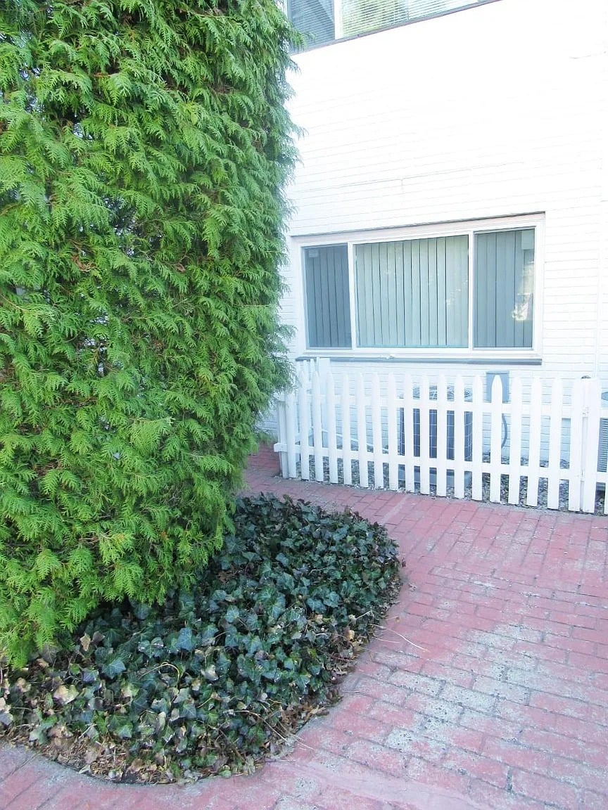 152 Main St APT 4
