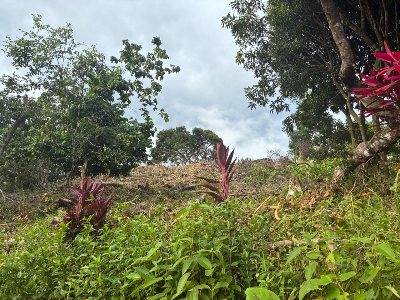 Spectacular Ocean View Lot in Ojochal Phase 9